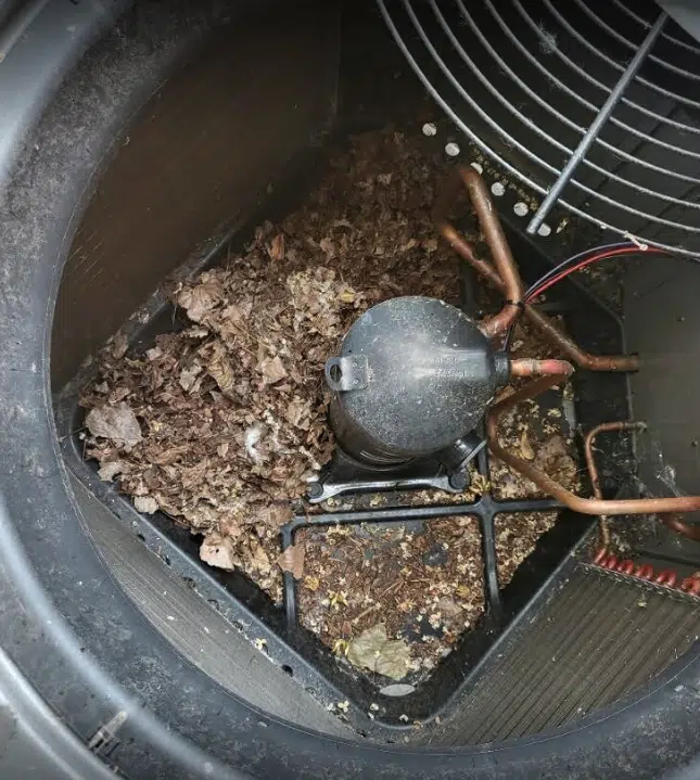 Lindemann Review Slider Image