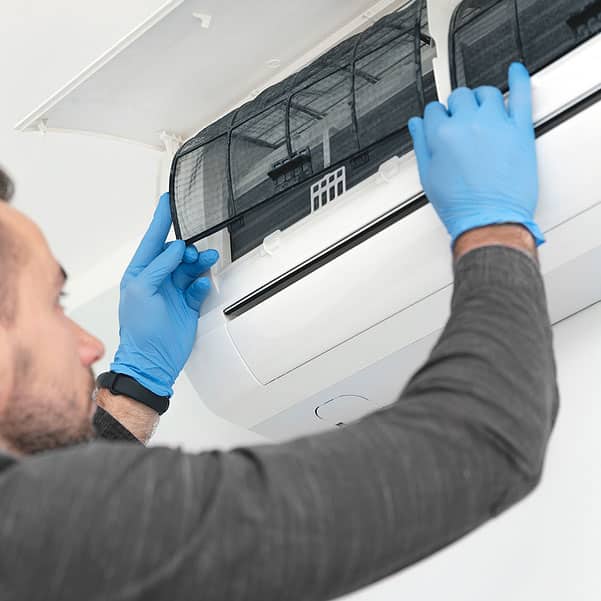 Lindemann Hero Image